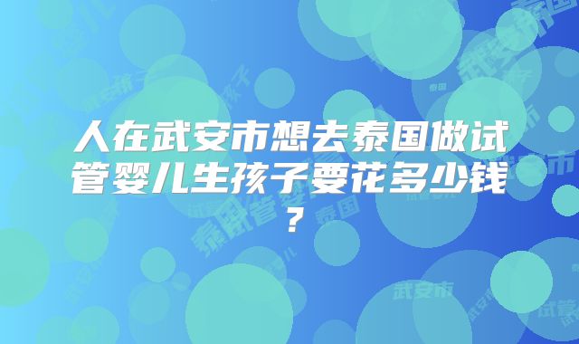 人在武安市想去泰国做试管婴儿生孩子要花多少钱？