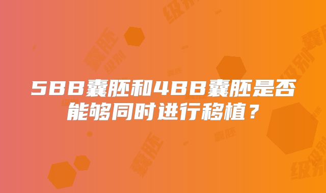 5BB囊胚和4BB囊胚是否能够同时进行移植?