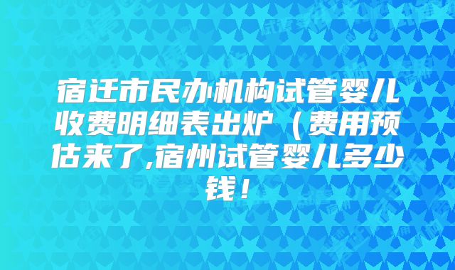 宿迁市民办机构试管婴儿收费明细表出炉（费用预估来了,宿州试管婴儿多少钱！
