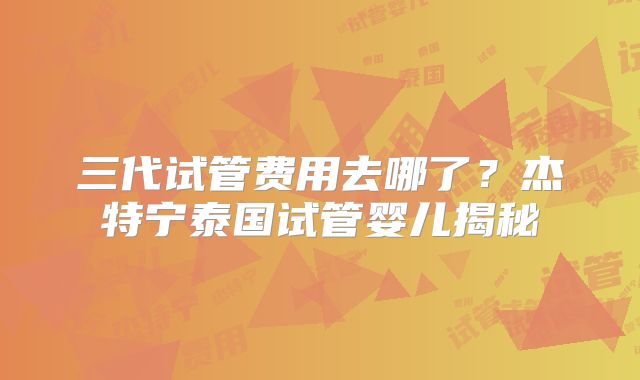 三代试管费用去哪了？杰特宁泰国试管婴儿揭秘