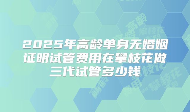 2025年高龄单身无婚姻证明试管费用在攀枝花做三代试管多少钱