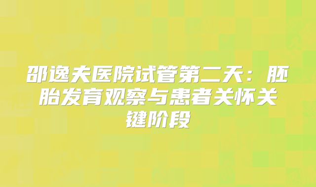 邵逸夫医院试管第二天：胚胎发育观察与患者关怀关键阶段