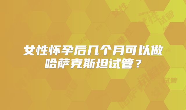 女性怀孕后几个月可以做哈萨克斯坦试管？