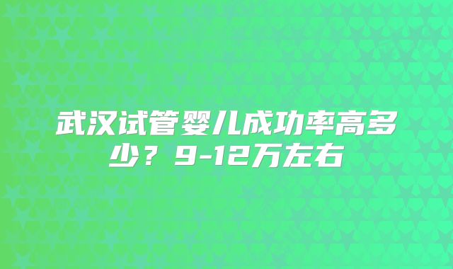 武汉试管婴儿成功率高多少？9-12万左右