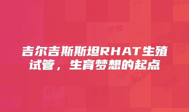吉尔吉斯斯坦RHAT生殖试管，生育梦想的起点