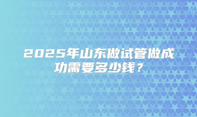 2025年山东做试管做成功需要多少钱？