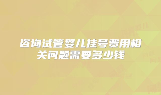 咨询试管婴儿挂号费用相关问题需要多少钱