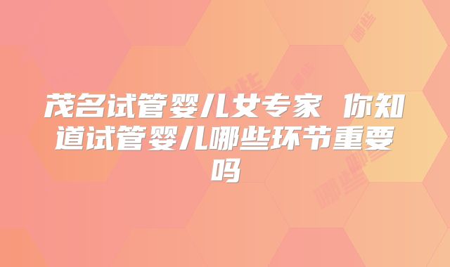 茂名试管婴儿女专家 你知道试管婴儿哪些环节重要吗