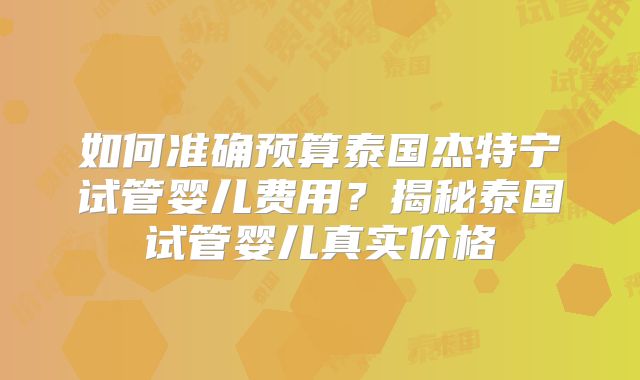 如何准确预算泰国杰特宁试管婴儿费用？揭秘泰国试管婴儿真实价格
