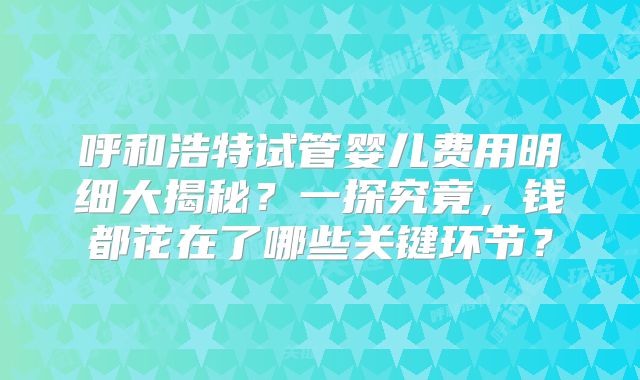呼和浩特试管婴儿费用明细大揭秘？一探究竟，钱都花在了哪些关键环节？