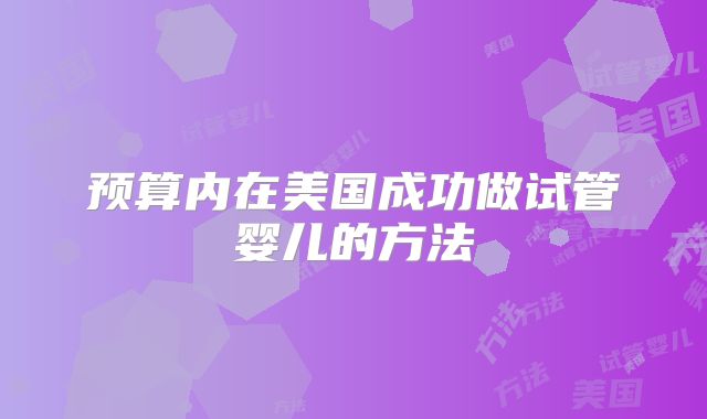预算内在美国成功做试管婴儿的方法