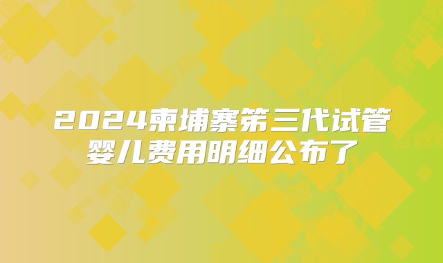 2024柬埔寨笫三代试管婴儿费用明细公布了