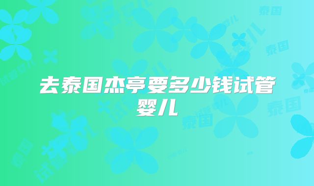 去泰国杰亭要多少钱试管婴儿