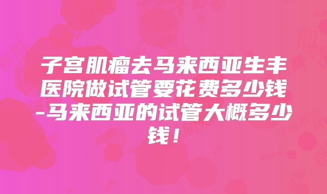 子宫肌瘤去马来西亚生丰医院做试管要花费多少钱-马来西亚的试管大概多少钱!
