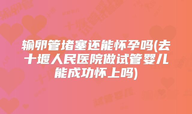 输卵管堵塞还能怀孕吗(去十堰人民医院做试管婴儿能成功怀上吗)