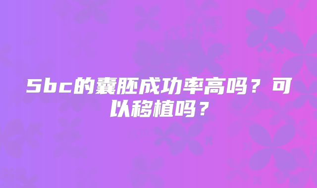 5bc的囊胚成功率高吗？可以移植吗？