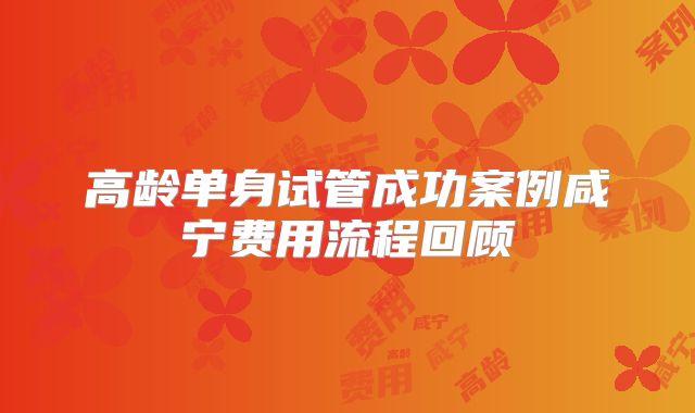 高龄单身试管成功案例咸宁费用流程回顾