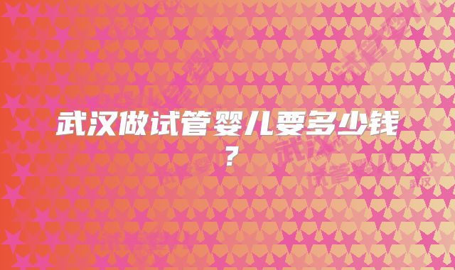 武汉做试管婴儿要多少钱？
