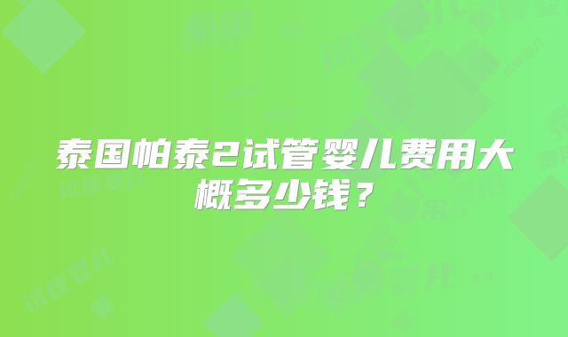 泰国帕泰2试管婴儿费用大概多少钱？