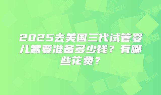 2025去美国三代试管婴儿需要准备多少钱？有哪些花费？