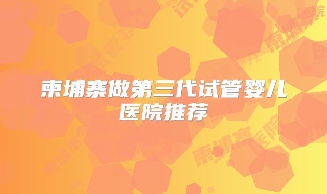 柬埔寨做第三代试管婴儿医院推荐