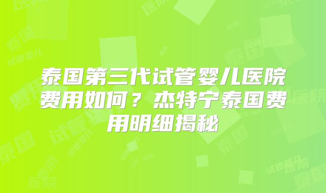 泰国第三代试管婴儿医院费用如何？杰特宁泰国费用明细揭秘