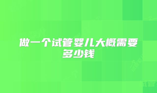 做一个试管婴儿大概需要多少钱
