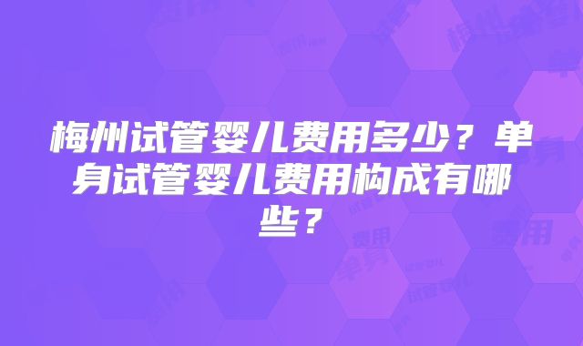 梅州试管婴儿费用多少？单身试管婴儿费用构成有哪些？