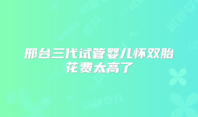 邢台三代试管婴儿怀双胎花费太高了