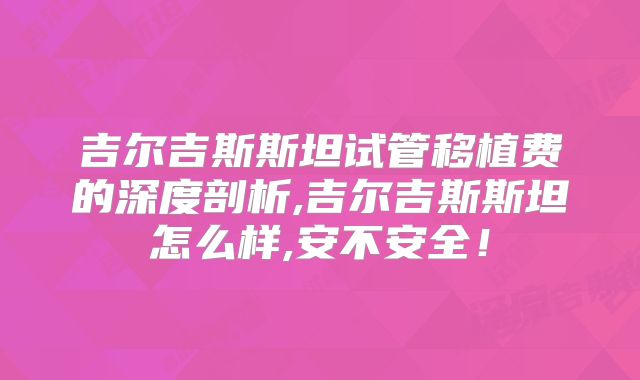 吉尔吉斯斯坦试管移植费的深度剖析,吉尔吉斯斯坦怎么样,安不安全！