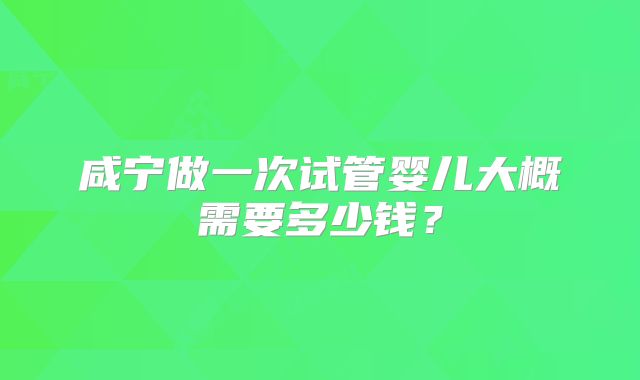咸宁做一次试管婴儿大概需要多少钱?