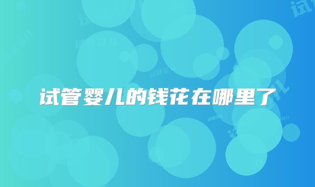 试管婴儿的钱花在哪里了