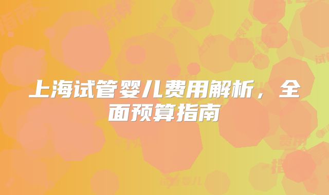 上海试管婴儿费用解析，全面预算指南
