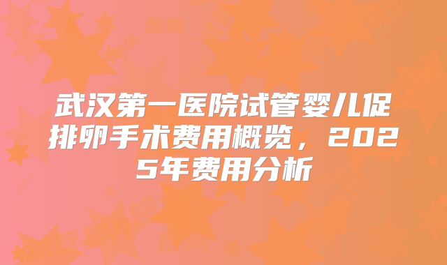 武汉第一医院试管婴儿促排卵手术费用概览，2025年费用分析