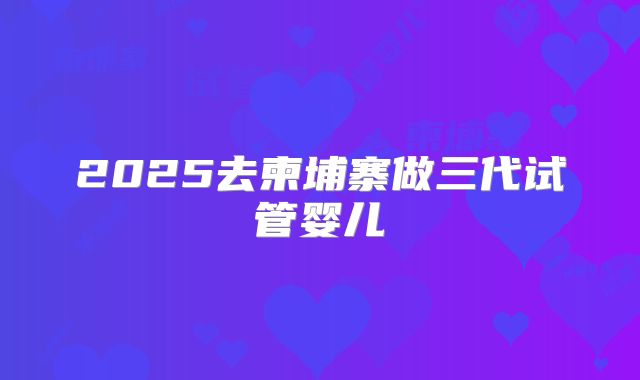 2025去柬埔寨做三代试管婴儿