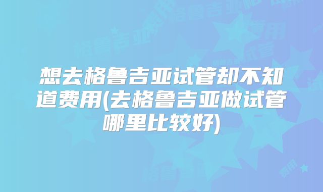 想去格鲁吉亚试管却不知道费用(去格鲁吉亚做试管哪里比较好)