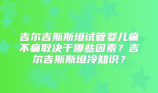 吉尔吉斯斯坦试管婴儿痛不痛取决于哪些因素？吉尔吉斯斯坦冷知识？