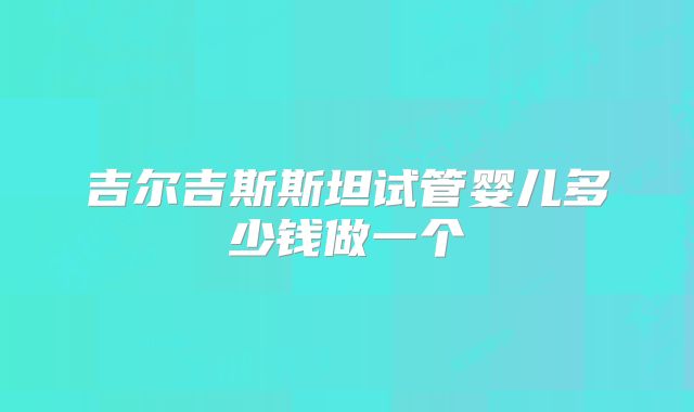吉尔吉斯斯坦试管婴儿多少钱做一个