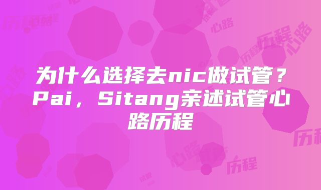 为什么选择去nic做试管？Pai，Sitang亲述试管心路历程