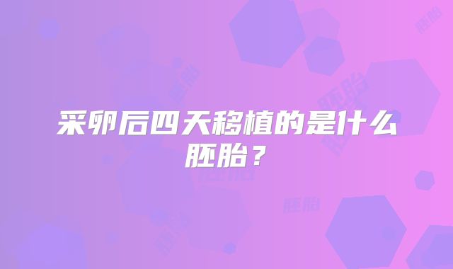 采卵后四天移植的是什么胚胎？