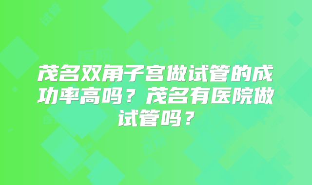 茂名双角子宫做试管的成功率高吗？茂名有医院做试管吗？