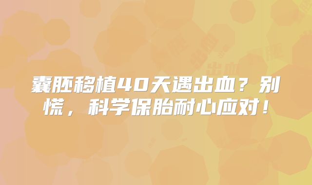 囊胚移植40天遇出血?别慌,科学保胎耐心应对!