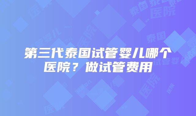 第三代泰国试管婴儿哪个医院？做试管费用