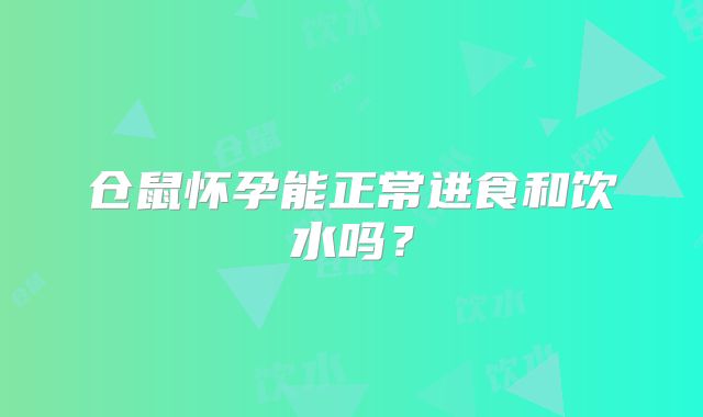 仓鼠怀孕能正常进食和饮水吗?