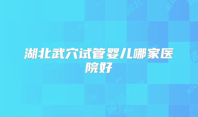 湖北武穴试管婴儿哪家医院好