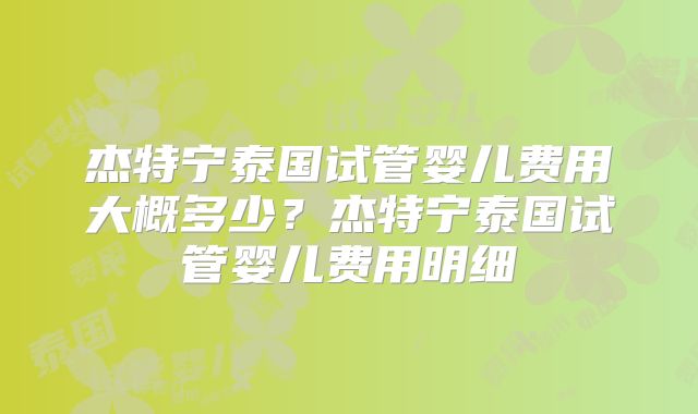 杰特宁泰国试管婴儿费用大概多少？杰特宁泰国试管婴儿费用明细