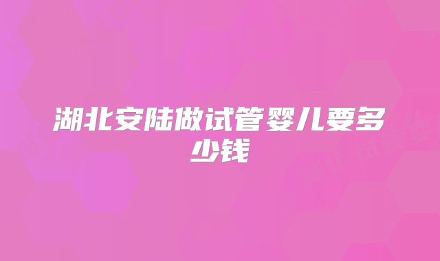 湖北安陆做试管婴儿要多少钱