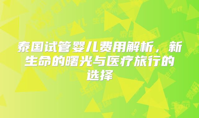 泰国试管婴儿费用解析,新生命的曙光与医疗旅行的选择