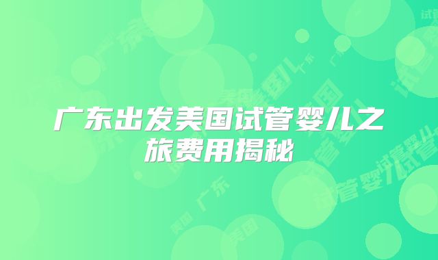 广东出发美国试管婴儿之旅费用揭秘