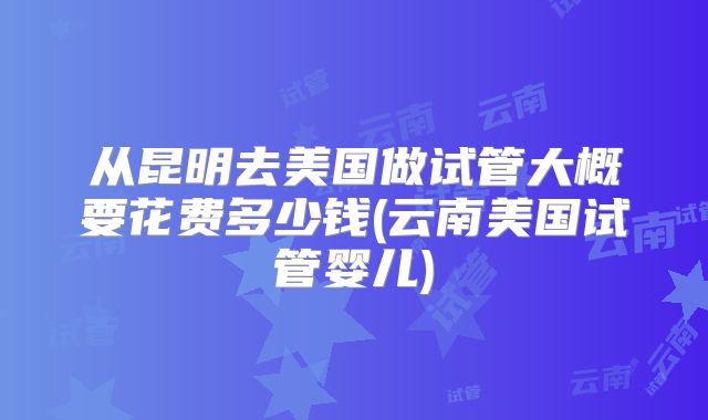 从昆明去美国做试管大概要花费多少钱(云南美国试管婴儿)